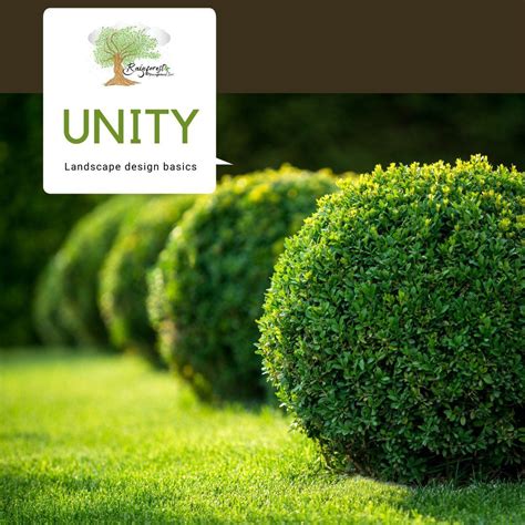 Unity In Commercial Landscaping