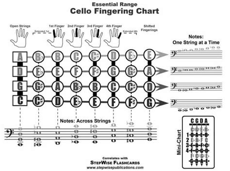 Cello Notes Chart - MusicalHow