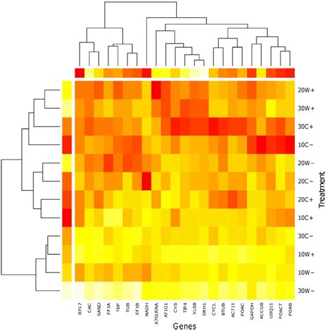 Expression Heat Map Illustrating The Relative Expression Levels And