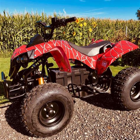 Elektro Quad 1200W XXL Max 2000 Watt ATV E Power Kaufen Auf Ricardo