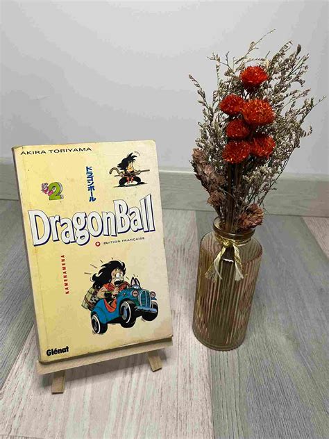 DRAGON BALL Editon Pastel Tome 2 Nolax Shop