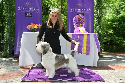 10 of the Cutest Photos From the Westminster Dog Show That You May Have ...