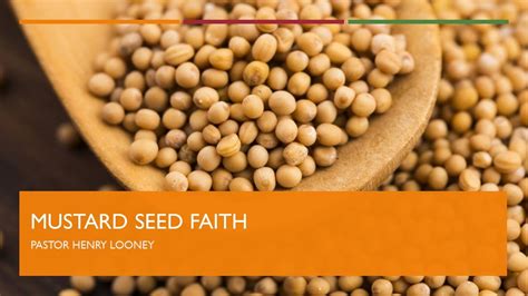 Mustard Seed Faith Youtube