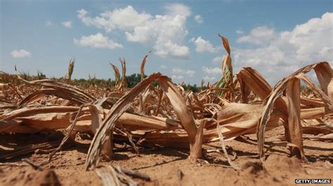 Dissent Among Scientists Over Key Climate Impact Report BBC News