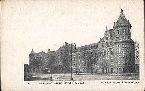 Museum of Natural History New York, NY Postcard