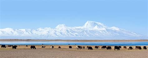 Lake Manasarovar: the Sacred Lake in Western Tibet- Wonders of Tibet