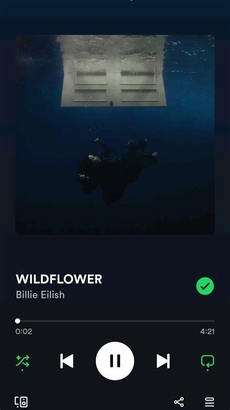 Pin By Maeve On Billie Eilish In 2024 Billie Eilish Wildflower