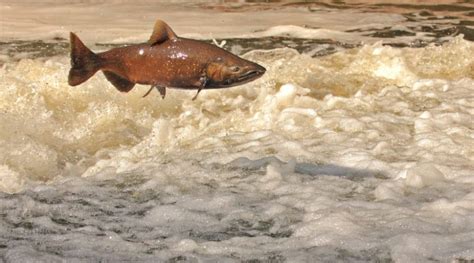 Kuskokwim River – Eye on the Arctic