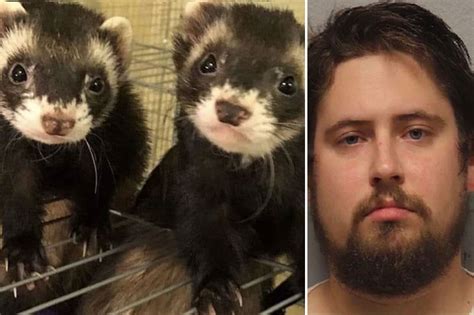 Inside The Sport Of Putting Vicious Ferrets In Your Pants