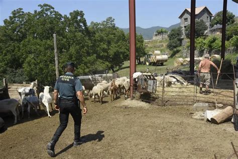 En Fotos Evolución Del Incendio En El Pueyo De Araguás Imágenes