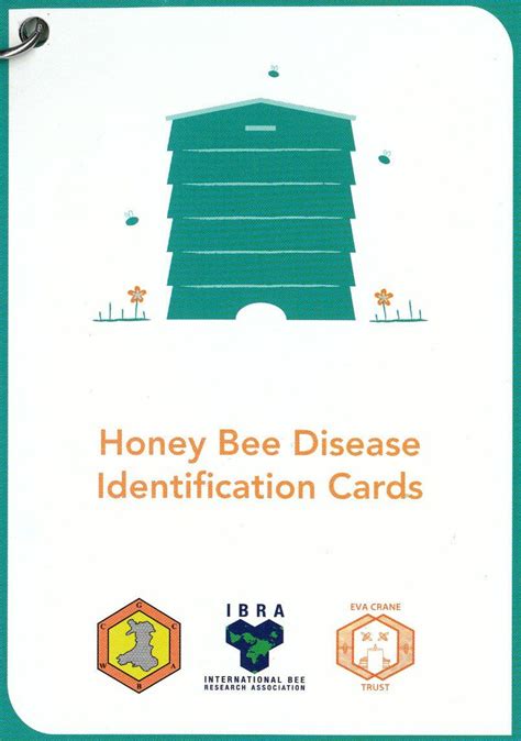 Honey Bee Disease Identification Cards