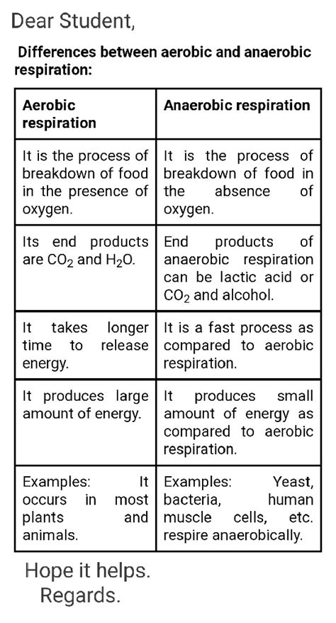 The Difference Between Aerobic And Anaerobic Respiration