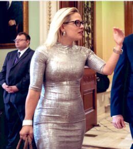 PHOTO Kyrsten Sinema Wearing A Silver Dress That Looks Like A Silver Toilet