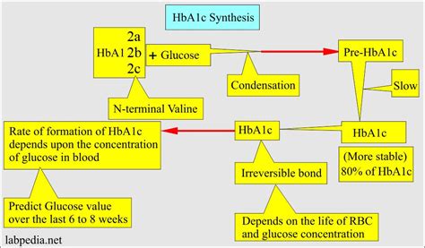 Hba1c Glycosylated Hemoglobin Glycated Hemoglobin 46 Off