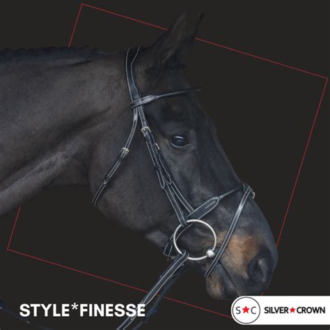 Bridon S C Style Finesse Silver Crown Sp Cialiste De L Quipement