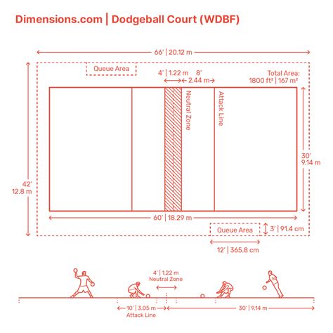 Dodgeball Court - Elite Dimensions & Drawings | Dimensions.com