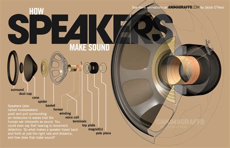 What Determines The Bass Of A Speaker Know The Mechanism