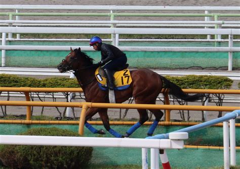 【岩田康誠の熱血！！競馬道】ヴィズサクセス洋芝問題なし 19日函館uhb杯 Umatoku 馬トク