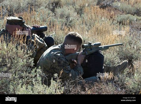 US Marine help another Marine using spotting scope aiming M40A3 Sniper ...