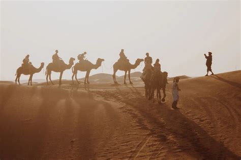 Overnight Camel Trek - Camel ride in Merzouga - Morocco Camel ride,