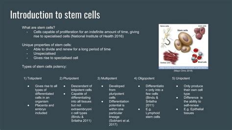 Hematopoietic Stem Cells Transplantation For Multiple Myeloma Ppt