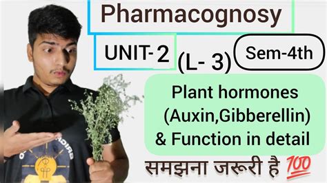 Pharmacognosy Unit 2 L 3 Plant Hormone Auxin Gibberellin And Their Function Pharmacy