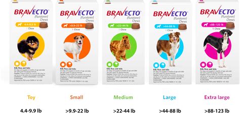 Bravecto For Dogs - us-bravecto-com