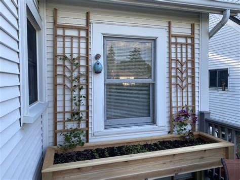 Mid Century Modern Trellis Design For Your Garden