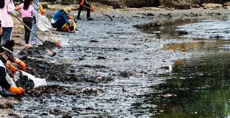 adultos y niños voluntarios recogiendo basura en la playa del mar