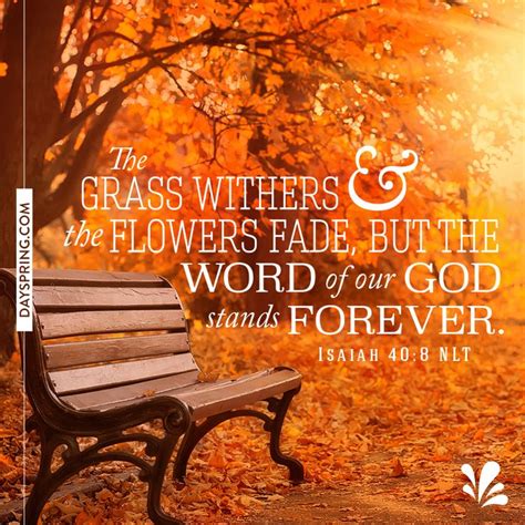 Isaiah 408 Fall Bible Verses Favorite Bible Verses Christian Fall