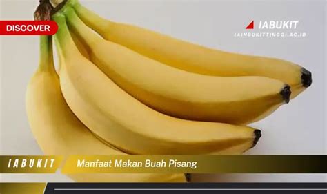 Bukan Cuma Pisang Ketahui 7 Manfaat Buah Yang Bikin Penasaran