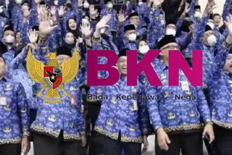 BKN Umumkan Mulai Tahun 2024 Ada 6 Kesempatan Kenaikan Pangkat PNS