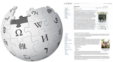 Wikipedianın Tasarımı 12 Yıl Sonra Ilk Kez Yenilendi İşte Yeni