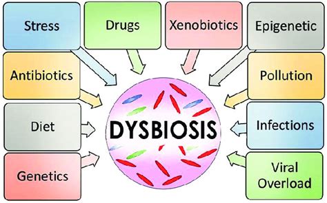 Overview Of Dysbiosis Drivers Both Environmental And Genetic Factors Download Scientific