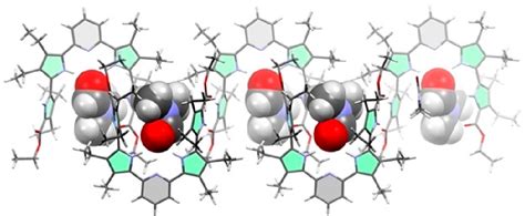 Figure From Solvent Controlled Self Assembled Oligopyrrolic Receptor