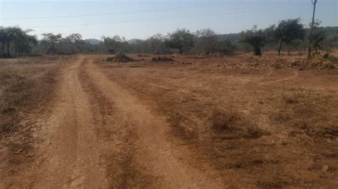 73 Guntha Agricultural Farm Land For Sale In Murbad Thane