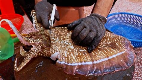 Amazing！cutting Huge Cuttlefish At Taiwanese Seafood Market驚人的港口巨大花枝