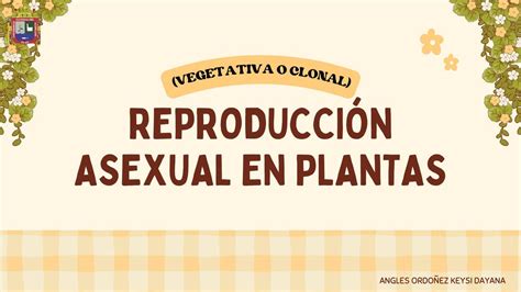 Reproduccion Asexual de la Plantas Dayana Ordoñez uDocz