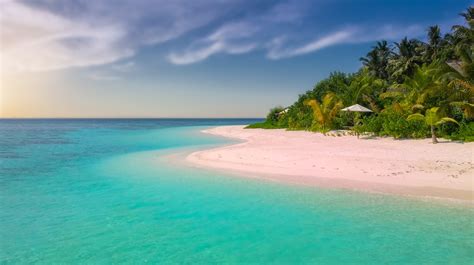 White Sand Beach Shoreline Free Image Peakpx