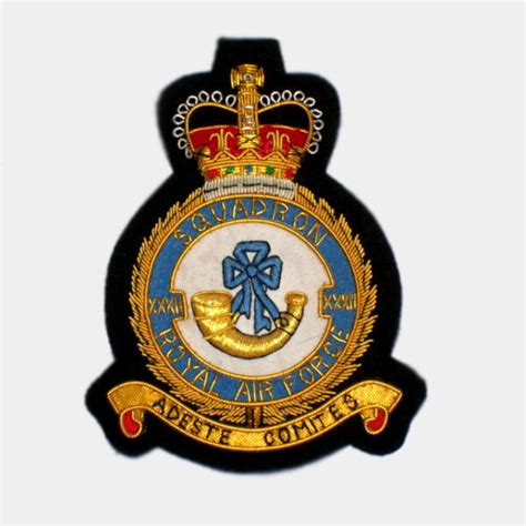 Squadron Blazer Badges Embroidered Royal Air Force Raf Patches