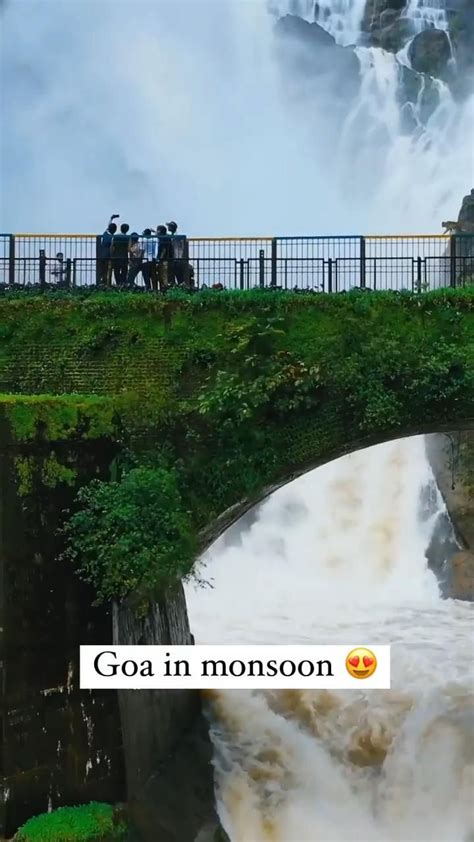 @aerial_holic shows us the magical Dudhsagar Falls thundering this monsoon! | Amazing places on ...