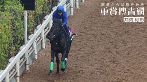 【天皇賞春 2023】最終追い切りを動画で解説井内利彰 競馬予想動画