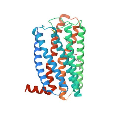 Rcsb Pdb Iyx Cryo Em Structure Of The Gpr Receptor In Complex