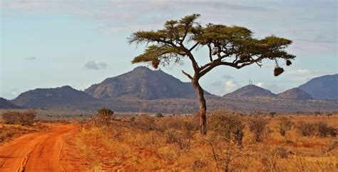 Afrika Ferien G Nstig Nach Afrika Mit Migros Ferien