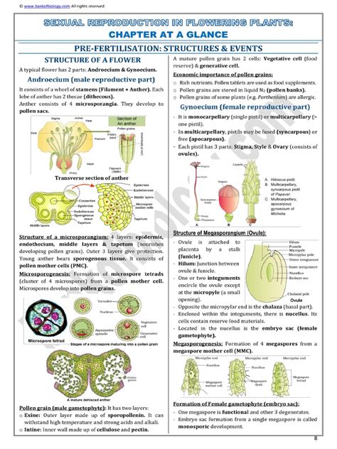 2 Sexual Reproduction In Flowering Plants Notes Pdf