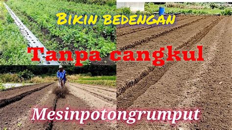 Proses Pembuatan Bedengan Tanpa Cangkul Pakai Mesin Potong Rumput