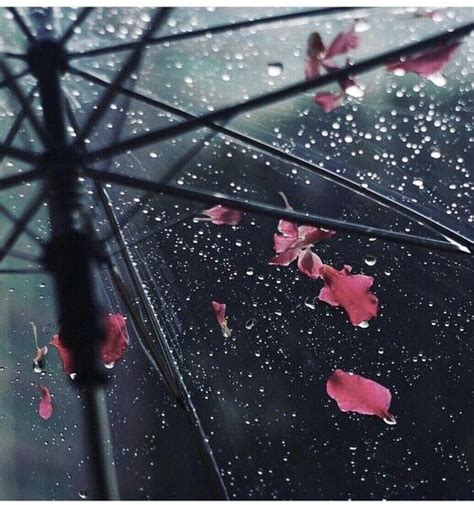 Sad Aesthetic Pictures Rain - Goimages Story