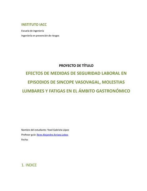 S9 Plantilla Proyecto Final 2018 INSTITUTO IACC Escuela de ingeniería