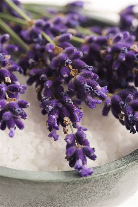 foto aroma relaksasi gambar  background   gratis