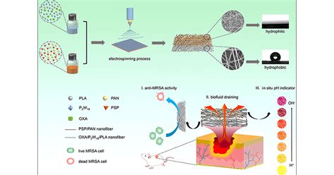 A Multifunctional Janus Electrospun Nanofiber Dressing With Biofluid Draining Monitoring And